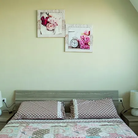 Casa Sofia ゲストハウス *